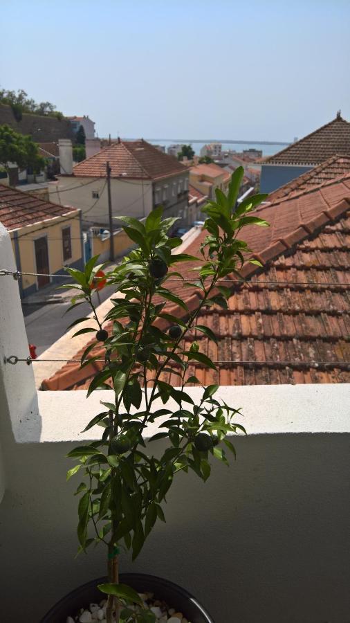Casa Do Viso Villa Setubal Ngoại thất bức ảnh